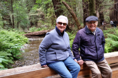 20170525_143356-scaled