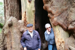 20170525_144643-scaled