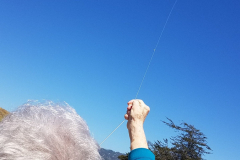 20210525_150450-rotated