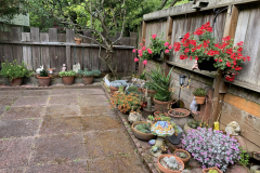 Copy-of-Copy-of-IMG_2652-scaled