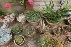 Copy-of-Copy-of-IMG_2653-scaled