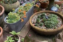 Copy-of-Copy-of-IMG_2656-scaled