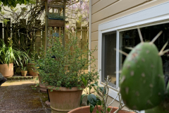 Copy-of-Copy-of-IMG_2657-scaled