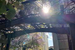 Copy-of-Copy-of-IMG_2667-scaled