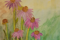 20230806_123433-scaled