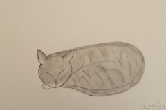 20230806_124033-scaled