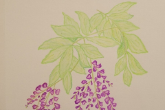 20230806_124056-scaled