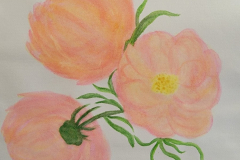 20230806_124550-scaled